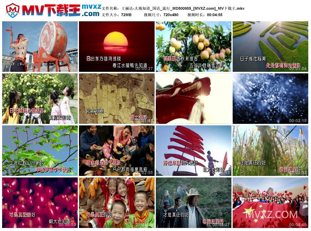 王丽达-大地知道_国语_流行_MD500955